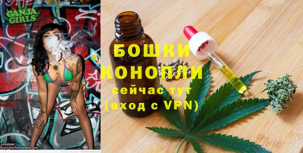 дживик Нягань
