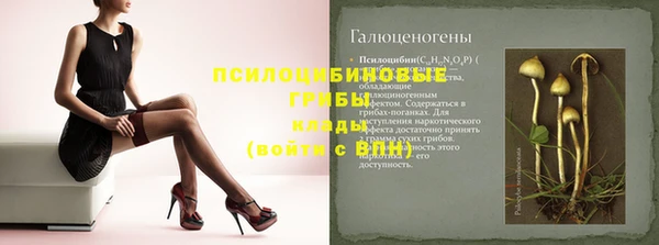 ПСИЛОЦИБИНОВЫЕ ГРИБЫ Абдулино