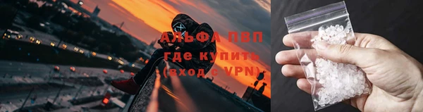 ПСИЛОЦИБИНОВЫЕ ГРИБЫ Абдулино