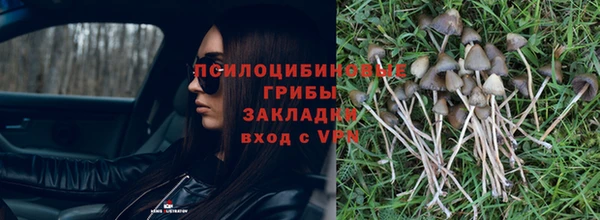 ПСИЛОЦИБИНОВЫЕ ГРИБЫ Абдулино
